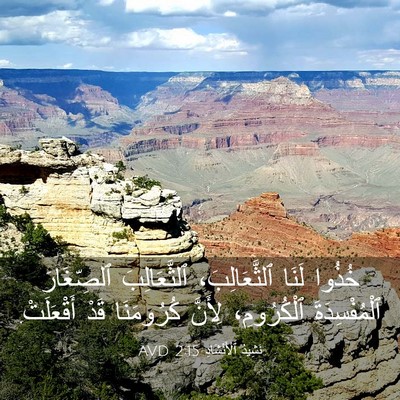 Picture 03 - نَشِيدُ ٱلْأَنْشَادِ 2:15 AVD - خُذُوا لَنَا - Bible Verse Picture