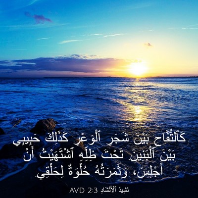 Picture 03 - نَشِيدُ ٱلْأَنْشَادِ 2:3 AVD - كَٱلتُّفَّاحِ بَيْنَ - Bible Verse Picture