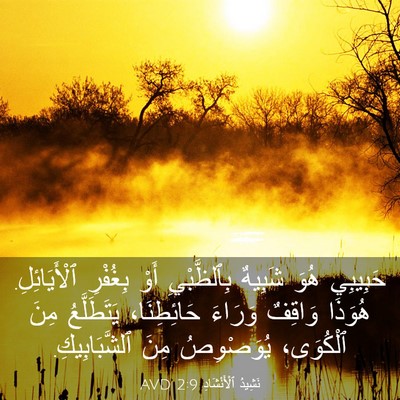 Picture 03 - نَشِيدُ ٱلْأَنْشَادِ 2:9 AVD - حَبِيبِي هُوَ شَبِيهٌ - Bible Verse Picture