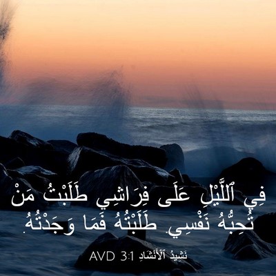 Picture 03 - نَشِيدُ ٱلْأَنْشَادِ 3:1 AVD - فِي ٱللَّيْلِ عَلَى - Bible Verse Picture