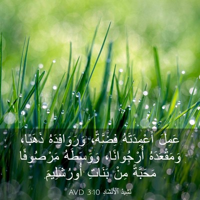 Picture 03 - نَشِيدُ ٱلْأَنْشَادِ 3:10 AVD - عَمِلَ أَعْمِدَتَهُ - Bible Verse Picture