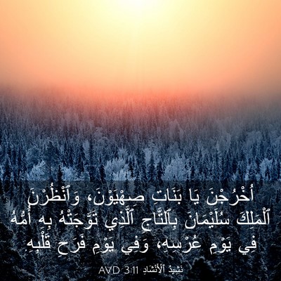 Picture 03 - نَشِيدُ ٱلْأَنْشَادِ 3:11 AVD - اُخْرُجْنَ يَا بَنَاتِ - Bible Verse Picture