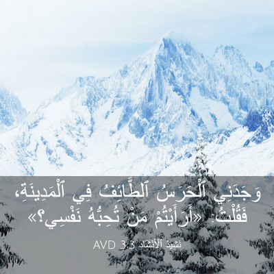 Picture 03 - نَشِيدُ ٱلْأَنْشَادِ 3:3 AVD - وَجَدَنِي ٱلْحَرَسُ - Bible Verse Picture