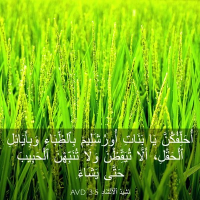 Picture 03 - نَشِيدُ ٱلْأَنْشَادِ 3:5 AVD - أُحَلِّفُكُنَّ يَا - Bible Verse Picture