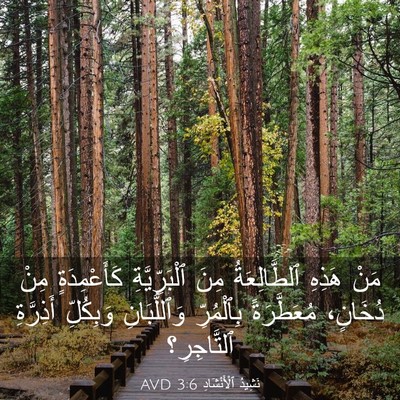 Picture 03 - نَشِيدُ ٱلْأَنْشَادِ 3:6 AVD - مَنْ هَذِهِ ٱلطَّالِعَةُ - Bible Verse Picture