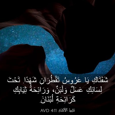 Picture 03 - نَشِيدُ ٱلْأَنْشَادِ 4:11 AVD - شَفَتَاكِ يَا عَرُوسُ - Bible Verse Picture