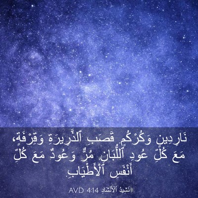 Picture 03 - نَشِيدُ ٱلْأَنْشَادِ 4:14 AVD - نَارِدِينٍ وَكُرْكُمٍ. - Bible Verse Picture