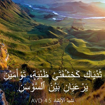 Picture 03 - نَشِيدُ ٱلْأَنْشَادِ 4:5 AVD - ثَدْيَاكِ كَخِشْفَتَيْ - Bible Verse Picture
