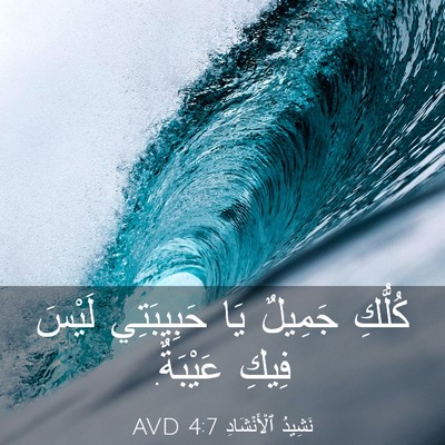 Picture 03 - نَشِيدُ ٱلْأَنْشَادِ 4:7 AVD - كُلُّكِ جَمِيلٌ يَا - Bible Verse Picture