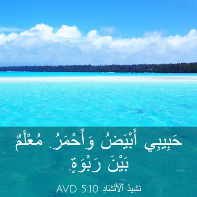 Picture 03 - نَشِيدُ ٱلْأَنْشَادِ 5:10 AVD - حَبِيبِي أَبْيَضُ - Bible Verse Picture