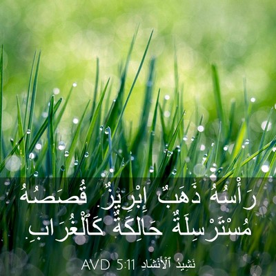 Picture 03 - نَشِيدُ ٱلْأَنْشَادِ 5:11 AVD - رَأْسُهُ ذَهَبٌ إِبْرِيزٌ. - Bible Verse Picture