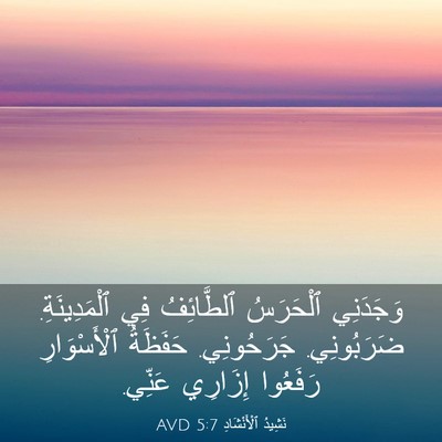 Picture 03 - نَشِيدُ ٱلْأَنْشَادِ 5:7 AVD - وَجَدَنِي ٱلْحَرَسُ - Bible Verse Picture