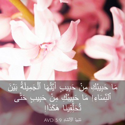 Picture 03 - نَشِيدُ ٱلْأَنْشَادِ 5:9 AVD - مَا حَبِيبُكِ مِنْ حَبِيبٍ - Bible Verse Picture