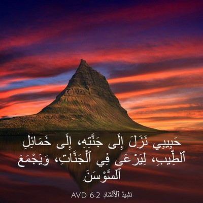 Picture 03 - نَشِيدُ ٱلْأَنْشَادِ 6:2 AVD - حَبِيبِي نَزَلَ إِلَى - Bible Verse Picture