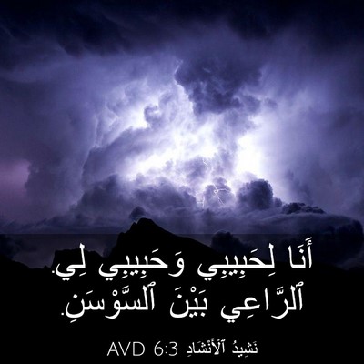 Picture 03 - نَشِيدُ ٱلْأَنْشَادِ 6:3 AVD - أَنَا لِحَبِيبِي - Bible Verse Picture