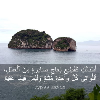 Picture 03 - نَشِيدُ ٱلْأَنْشَادِ 6:6 AVD - أَسْنَانُكِ كَقَطِيعِ - Bible Verse Picture