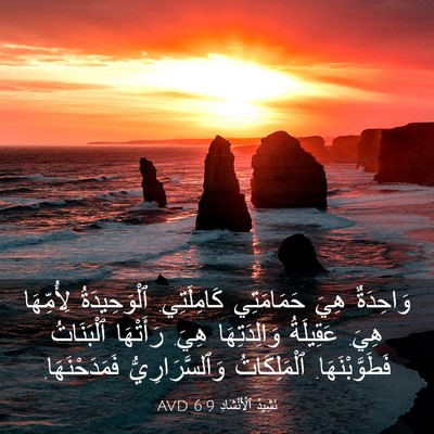 Picture 03 - نَشِيدُ ٱلْأَنْشَادِ 6:9 AVD - وَاحِدَةٌ هِيَ حَمَامَتِي - Bible Verse Picture