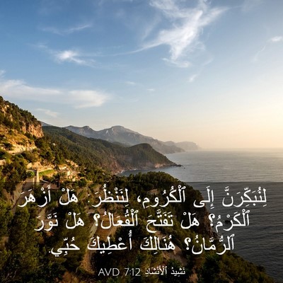 Picture 03 - نَشِيدُ ٱلْأَنْشَادِ 7:12 AVD - لِنُبَكِّرَنَّ إِلَى - Bible Verse Picture