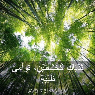 Picture 03 - نَشِيدُ ٱلْأَنْشَادِ 7:3 AVD - ثَدْيَاكِ كَخَشْفَتَيْنِ، - Bible Verse Picture