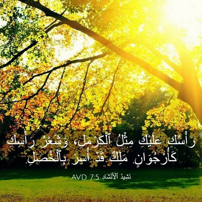 Picture 03 - نَشِيدُ ٱلْأَنْشَادِ 7:5 AVD - رَأْسُكِ عَلَيْكِ مِثْلُ - Bible Verse Picture
