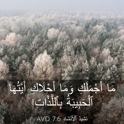 Picture 03 - نَشِيدُ ٱلْأَنْشَادِ 7:6 AVD - مَا أَجْمَلَكِ وَمَا - Bible Verse Picture