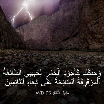 Picture 03 - نَشِيدُ ٱلْأَنْشَادِ 7:9 AVD - وَحَنَكُكِ كَأَجْوَدِ - Bible Verse Picture
