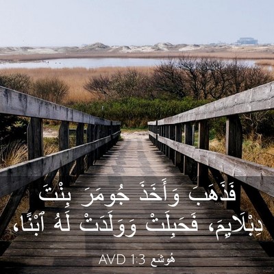 Picture 03 - هُوشَع 1:3 AVD - فَذَهَبَ وَأَخَذَ جُومَرَ - Bible Verse Picture