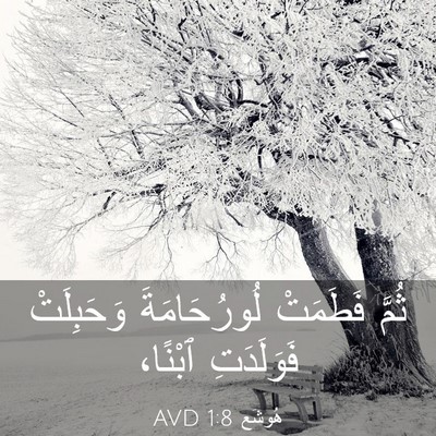 Picture 03 - هُوشَع 1:8 AVD - ثُمَّ فَطَمَتْ - Bible Verse Picture