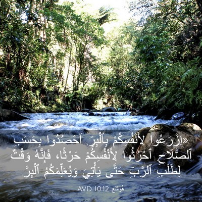 Picture 03 - هُوشَع 10:12 AVD - «اِزْرَعُوا - Bible Verse Picture