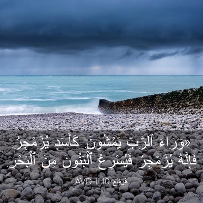 Picture 03 - هُوشَع 11:10 AVD - «وَرَاءَ ٱلرَّبِّ - Bible Verse Picture