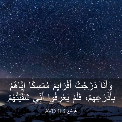 Picture 03 - هُوشَع 11:3 AVD - وَأَنَا دَرَّجْتُ - Bible Verse Picture