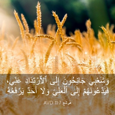 Picture 03 - هُوشَع 11:7 AVD - وَشَعْبِي جَانِحُونَ - Bible Verse Picture