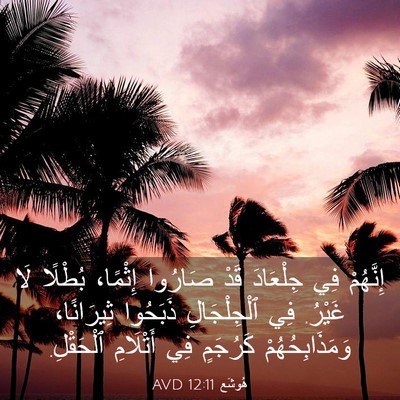Picture 03 - هُوشَع 12:11 AVD - إِنَّهُمْ فِي جِلْعَادَ - Bible Verse Picture