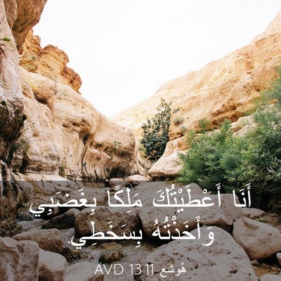 Picture 03 - هُوشَع 13:11 AVD - أَنَا أَعْطَيْتُكَ - Bible Verse Picture