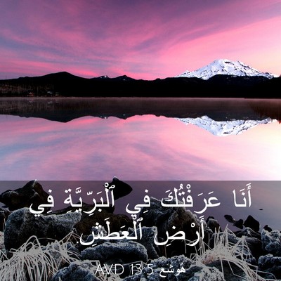 Picture 03 - هُوشَع 13:5 AVD - أَنَا عَرَفْتُكَ فِي - Bible Verse Picture