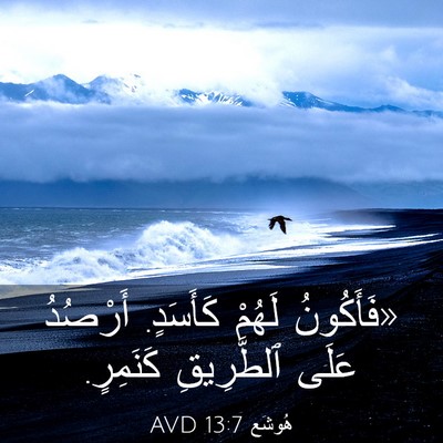 Picture 03 - هُوشَع 13:7 AVD - «فَأَكُونُ لَهُمْ - Bible Verse Picture