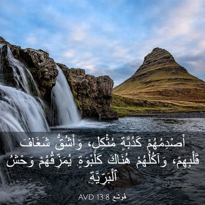 Picture 03 - هُوشَع 13:8 AVD - أَصْدِمُهُمْ كَدُبَّةٍ - Bible Verse Picture