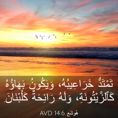 Picture 03 - هُوشَع 14:6 AVD - تَمْتَدُّ خَرَاعِيبُهُ، - Bible Verse Picture
