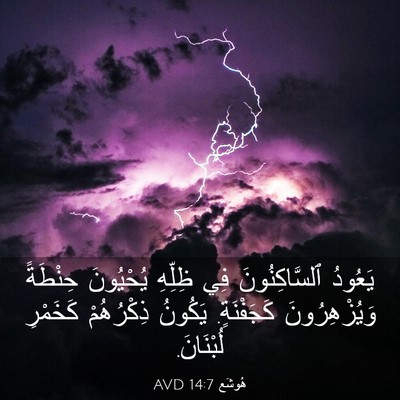 Picture 03 - هُوشَع 14:7 AVD - يَعُودُ ٱلسَّاكِنُونَ فِي - Bible Verse Picture