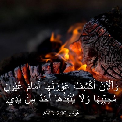 Picture 03 - هُوشَع 2:10 AVD - وَٱلْآنَ أَكْشِفُ - Bible Verse Picture