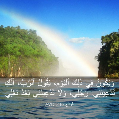 Picture 03 - هُوشَع 2:16 AVD - وَيَكُونُ فِي ذَلِكَ - Bible Verse Picture