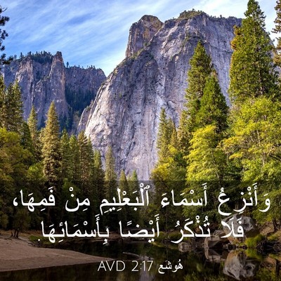 Picture 03 - هُوشَع 2:17 AVD - وَأَنْزِعُ أَسْمَاءَ - Bible Verse Picture