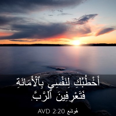 Picture 03 - هُوشَع 2:20 AVD - أَخْطُبُكِ لِنَفْسِي - Bible Verse Picture