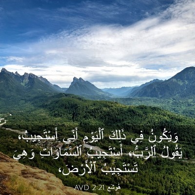 Picture 03 - هُوشَع 2:21 AVD - وَيَكُونُ فِي ذَلِكَ - Bible Verse Picture