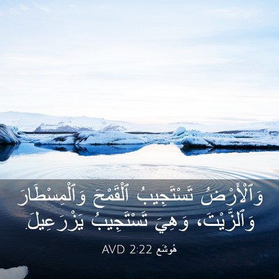 Picture 03 - هُوشَع 2:22 AVD - وَٱلْأَرْضُ تَسْتَجِيبُ - Bible Verse Picture