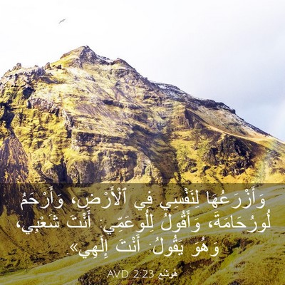 Picture 03 - هُوشَع 2:23 AVD - وَأَزْرَعُهَا لِنَفْسِي - Bible Verse Picture