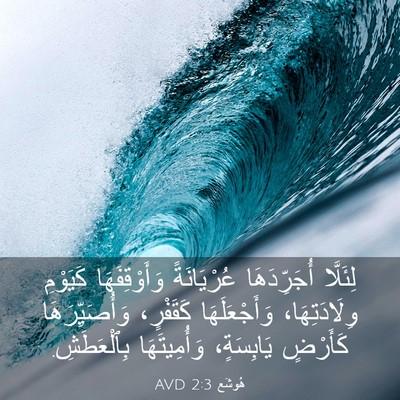 Picture 03 - هُوشَع 2:3 AVD - لِئَلَّا أُجَرِّدَهَا - Bible Verse Picture