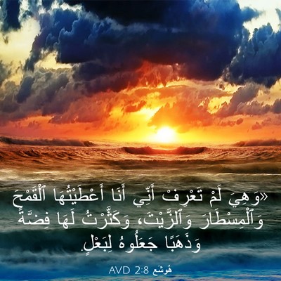 Picture 03 - هُوشَع 2:8 AVD - «وَهِيَ لَمْ تَعْرِفْ - Bible Verse Picture