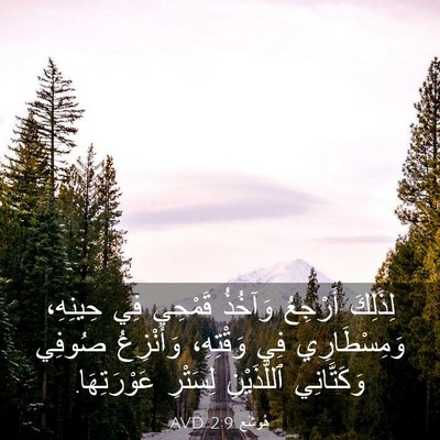 Picture 03 - هُوشَع 2:9 AVD - لِذَلِكَ أَرْجِعُ وَآخُذُ - Bible Verse Picture