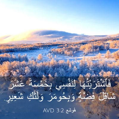 Picture 03 - هُوشَع 3:2 AVD - فَٱشْتَرَيْتُهَا - Bible Verse Picture
